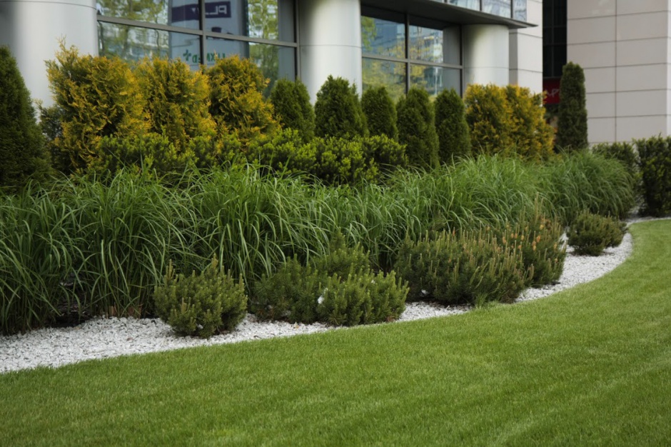 fot. Garden Masters, Marynarska Business Park Zieleń nie tylko na certyfikacie. Wiosna w biurowych ogrodach