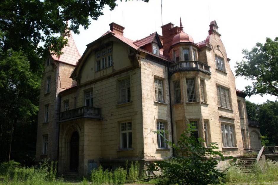 Wille Turczynek wystawione na sprzedaż