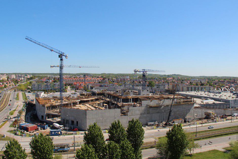 Gatta wchodzi do Ogrodów