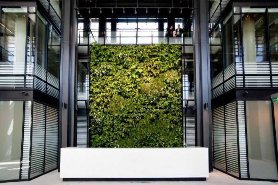 Eurocentrum Office Complex Pracownicy Eurocentrum stawiają na zielone otoczenie