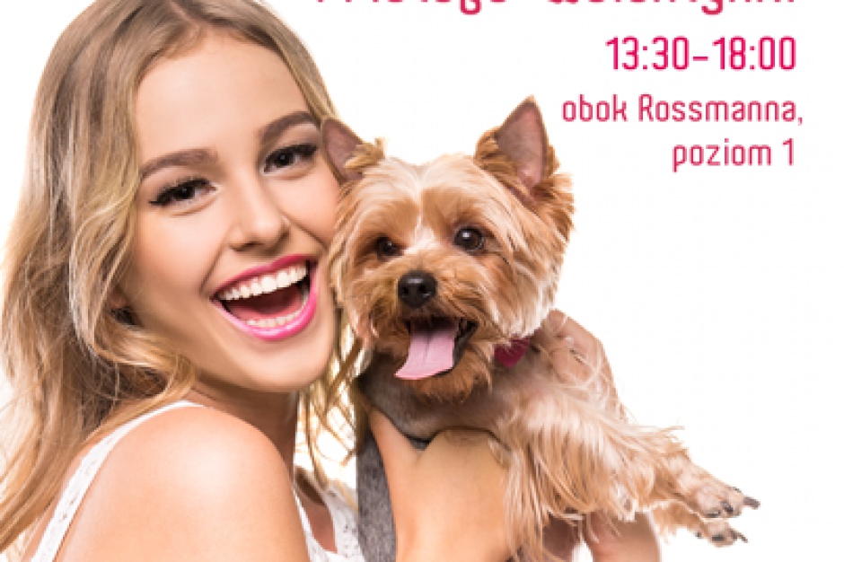 Yorki ruszają na podbój Poznań City Center