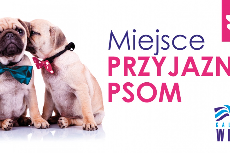 fot. Galeria Wisła W tej galerii klient z psem jest mile widziany