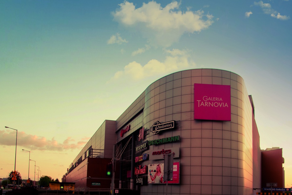 Galeria Tarnovia Debiuty w Galerii Tarnovia