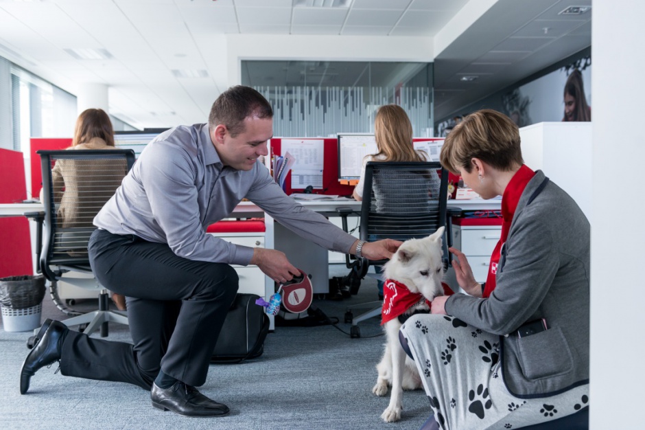 Biuro Nestle Podwójna fasada i nowoczesne instalacje. To zielony biurowiec Nestlé