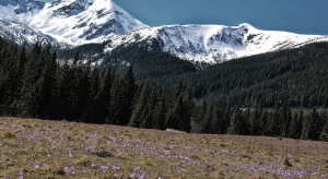 Posprzątają Tatry - Rafał Sonik wśród organizatorów akcji