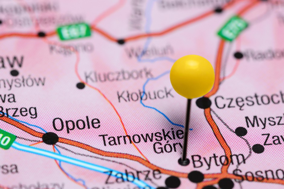fot. Shutterstock