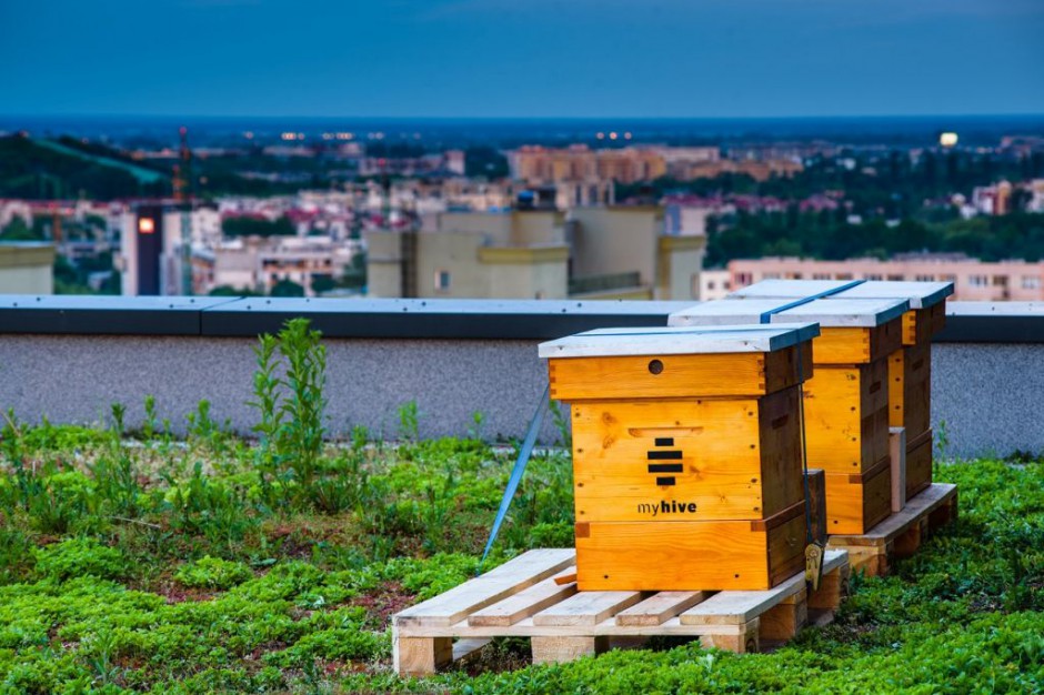 myhive Nimbus Warszawski biurowiec zyskał nietypowych najemców