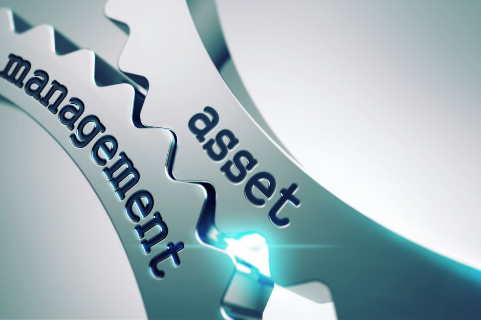 fot. Shutterstock Sukces w rękach asset managera