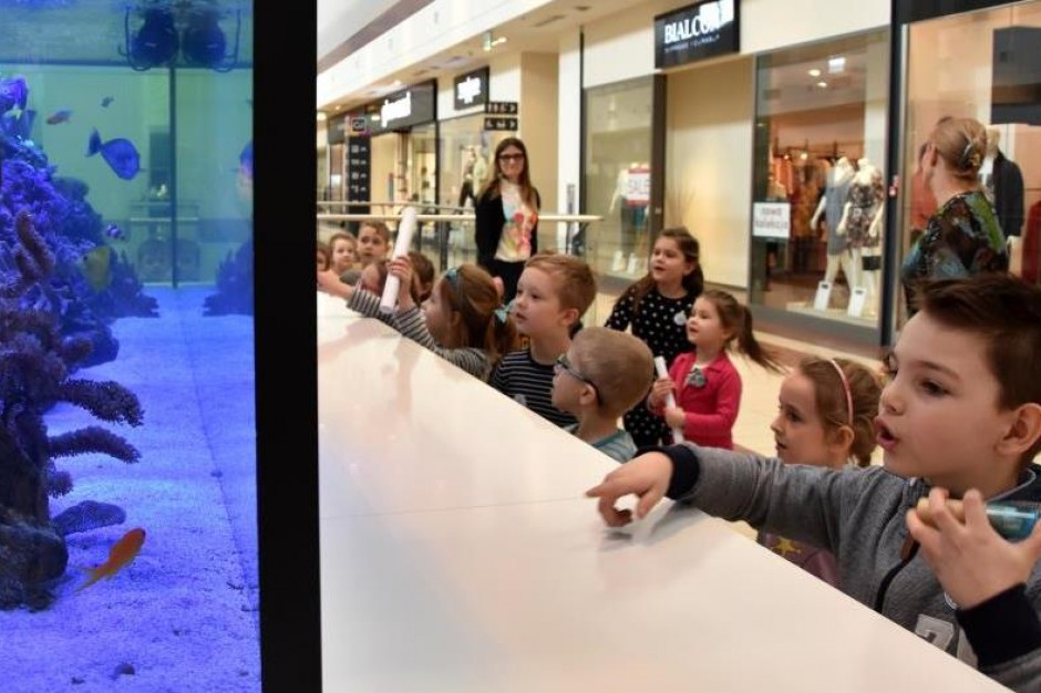 fot. Galeria Jurajska Galeria Jurajska przemieniła się w akwarium