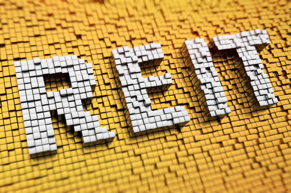 Fot. Shutterstock Polskie REIT-y wejdą nareszcie do gry?
