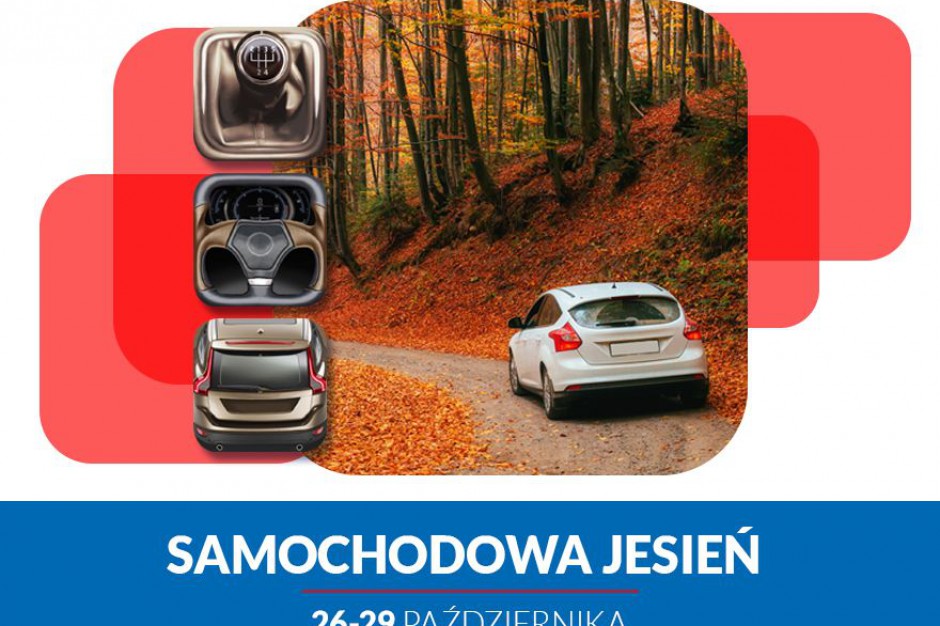 fot. Blue City Motoryzacyjny wabik w Blue City