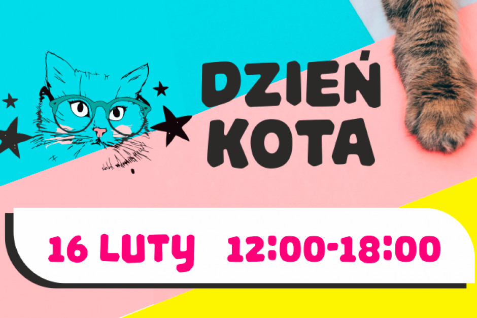 Dzień Kota w Starej Kablowni