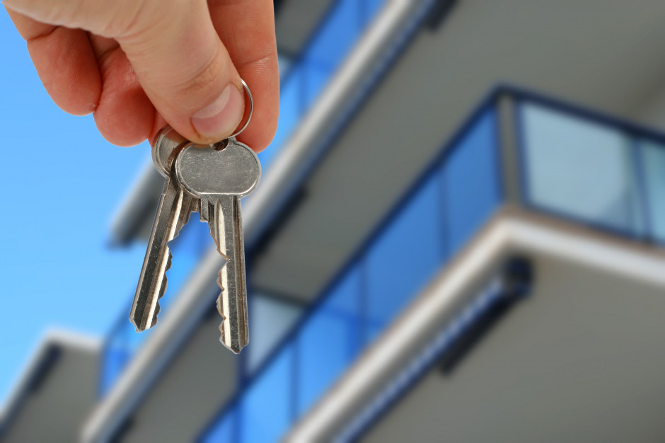 Fot. Pixabay Condo niejedno ma imię