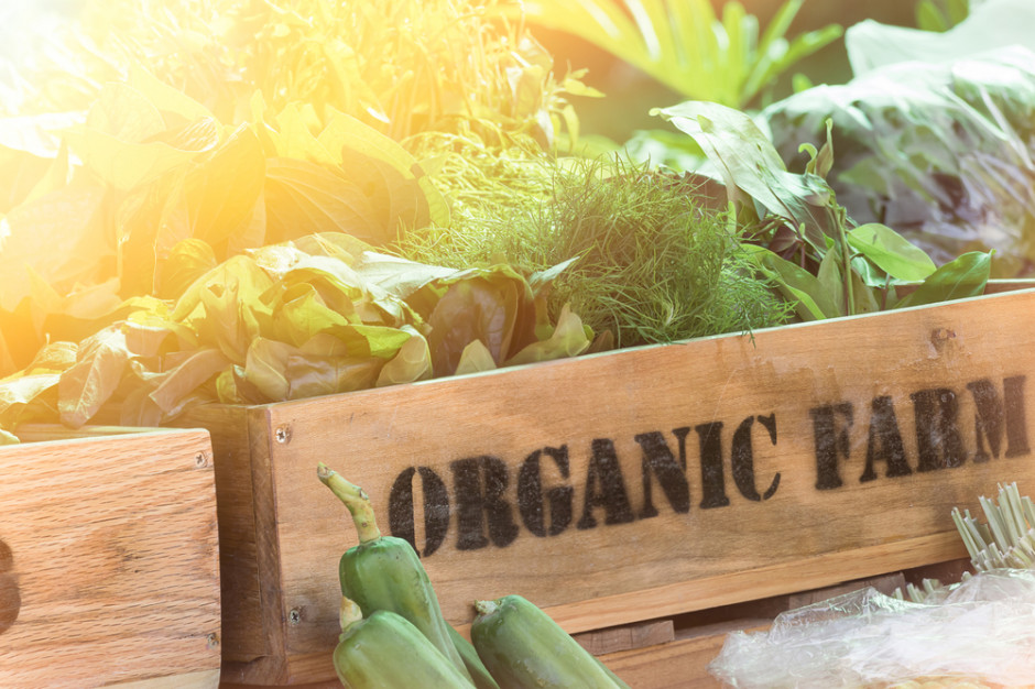 Sklep internetowy Organic Farma Zdrowia wystrzelił. Sieć inwestuje w nowy magazyn