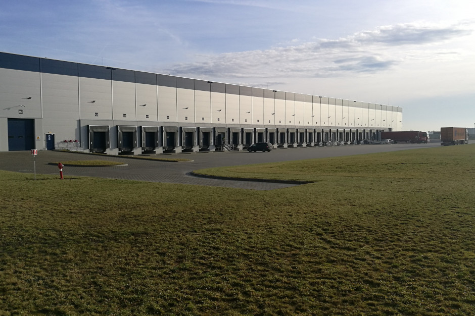 Millano rośnie w Tristar Poznań