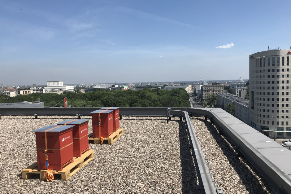mat.pras. Saski Crescent ma za sobą udane zbiory