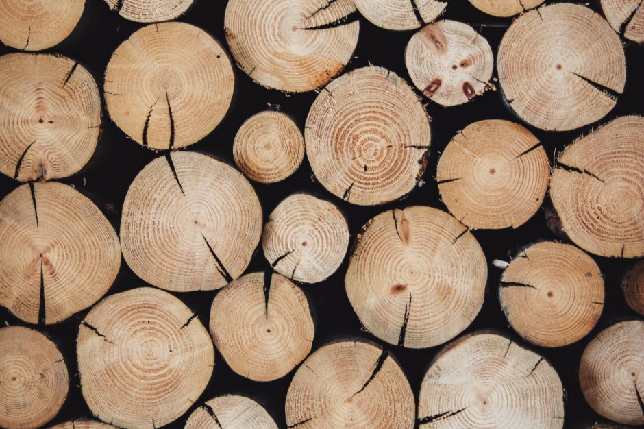 Fot. unsplash.com (Alexandre Jaquetoni). PSSE z kolejną decyzją o wsparciu