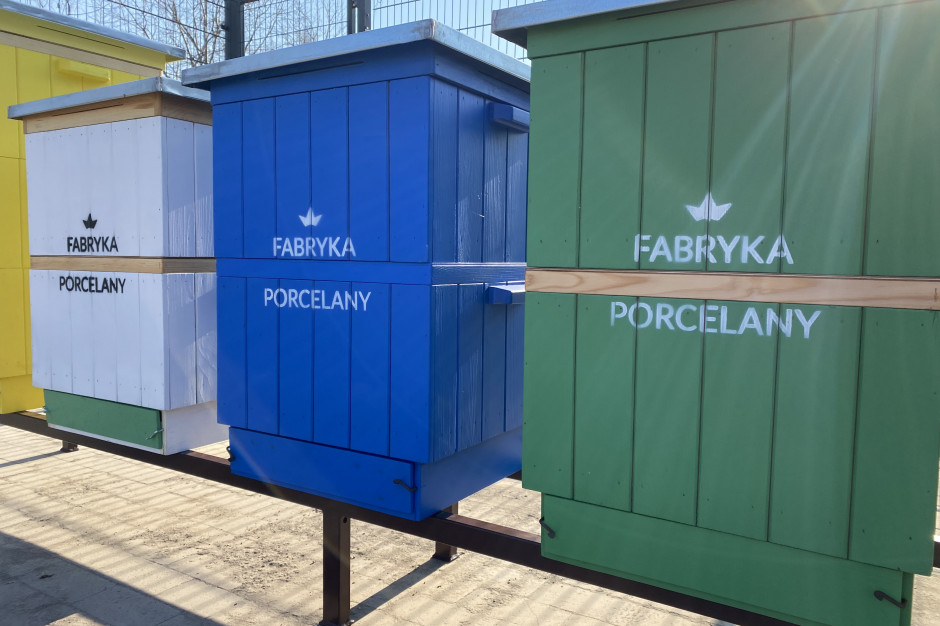 Pasieka na terenie Fabryki Porcelany w Katowicach, fot. mat. prasowe Pszczoły zamieszkały na terenie kompleksu Fabryki Porcelany w Katowicach