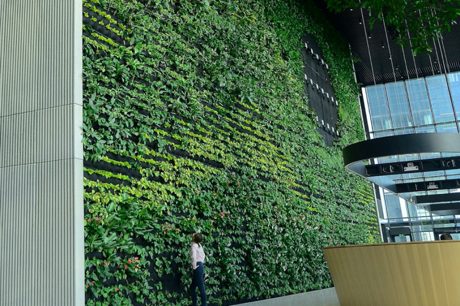22 metry długości, 15 metrów wysokości, kilkadziesiąt gatunków, ponad 6000 roślin – zielona ściana, inspirowana naturą, powstała w lobby warszawskiego biurowca Generation Park Y. mat. pras.