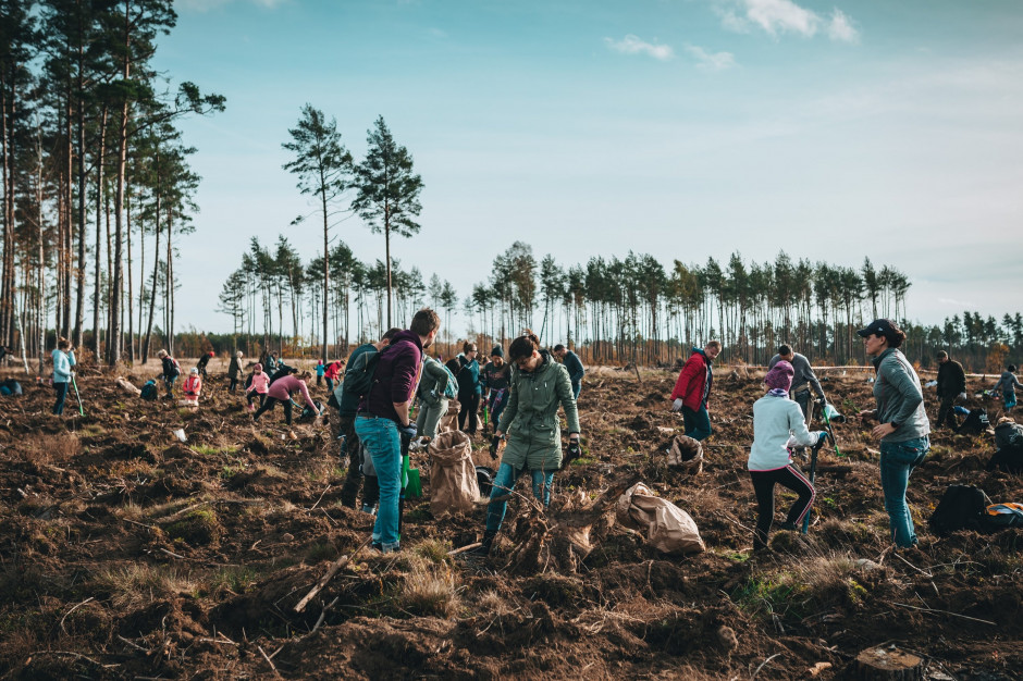 Torus ponownie sadzi drzewa, mat.pras. Posadzili już 110 tys. drzew i wciąż im mało. Torus powraca z akcją