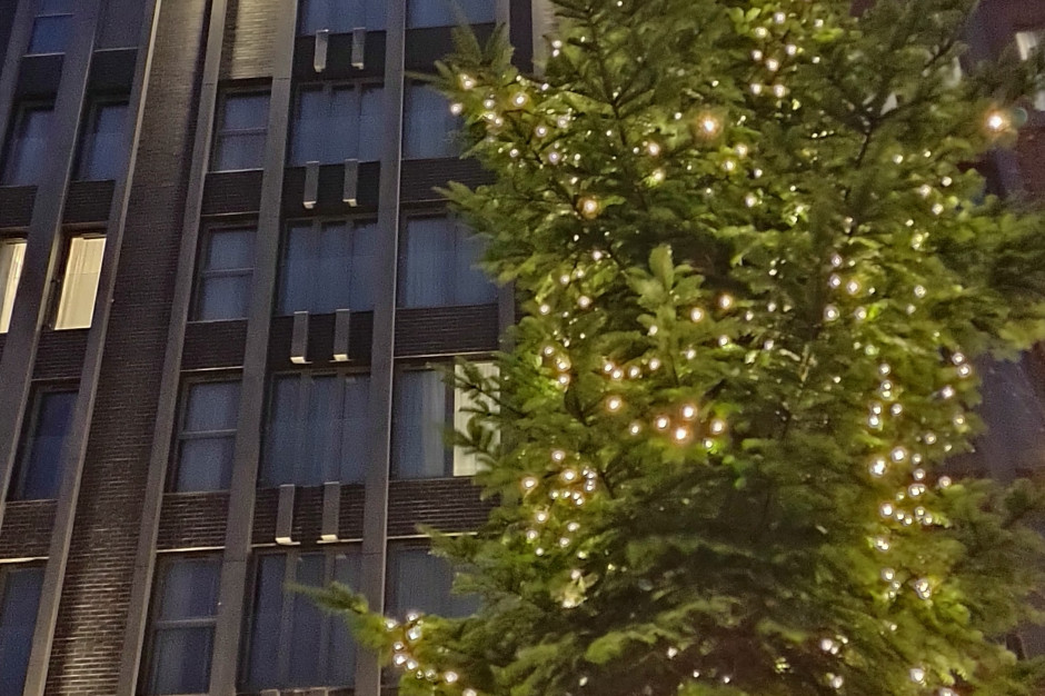Hotel Grano z największa hotelową choinką. Drzewka pojawią się w całym mieście