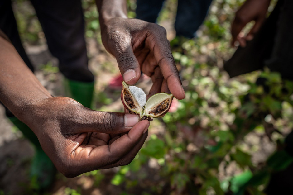 Cotton made in Africa (CmiA) powołana do życia w 2005 r. jest jedną z wiodących, międzynarodowych inicjatyw na rzecz zrównoważonej produkcji bawełny oraz transparentności łańcucha dostaw w branży tekstylnej. Ten uznawany na całym świecie standard ma na celu wspieranie drobnych afrykańskich rolników w nawiązywaniu kontaktów handlowych z firmami modowymi. Dzięki wyjątkowej formule współpracy, podejmowane przez CmiA działania przyczyniają się jednocześnie do poprawy standardów socjalnych około miliona rolników w Afryce Subsaharyjskiej. Środki uzyskane z tytułu odpłatnego korzystania z licencji CmiA przekazywane są na finansowanie szkoleń w zakresie podnoszenia jakości plonów i przyjaznych dla środowiska metod uprawy bawełny, poprawę warunków pracy rolników, a także promocję równości płci w Afryce i poszanowanie praw dzieci. Dodatkowo społeczność lokalna czerpie korzyści z prowadzonych projektów społecznych w zakresie edukacji, zdrowia i bezpieczeństwa dzieci oraz wspierania afrykańskich kobiet na lokalnym rynku pracy, fot. Martin J. Kielmann/mat. prasowe