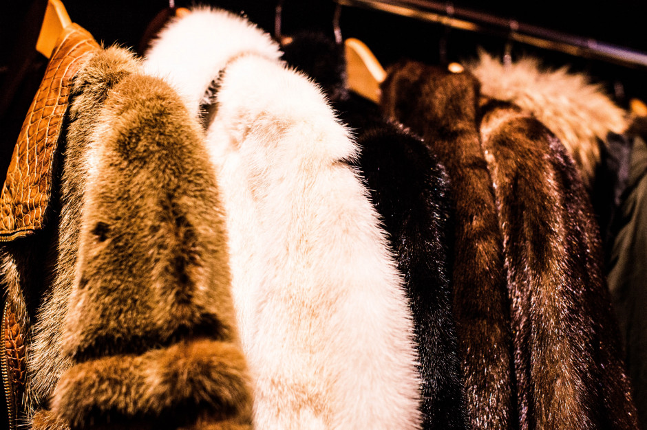 Dolce & Gabbana wycofuje ze sprzedaży futra zwierzęce. Stworzy „zrównoważoną alternatywę"