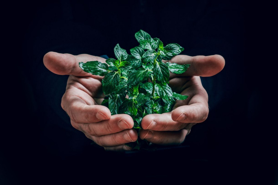 Jak galerie dbają o człowieka i środowisko? Fot. unsplash (Jan Kopriva).