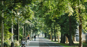 Łódź wśród 100 miast z ekologicznym wsparciem