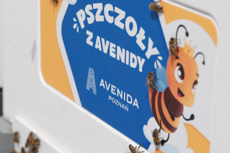 Pszczoły w mieście na dachu Avenidy. Fot. mat. pras.