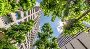 Potrzebujemy nauki, by przyspieszyć zieloną transformację w miastach