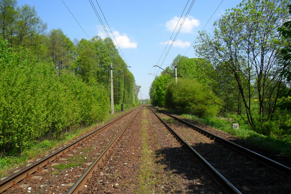 Od września przebudowa linii kolejowej Jarocin – Koźmin Wlkp. Fot. Wikipedia
