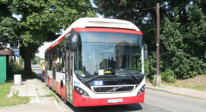 Trzy nowe linie autobusowe w Dąbrowie Górniczej