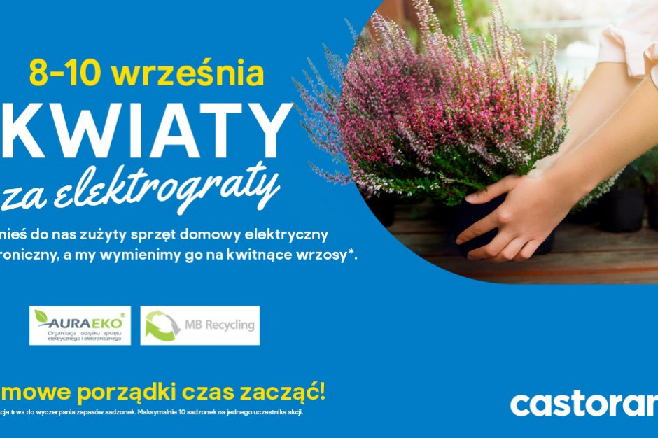 Akcja „Kwiaty za elektrograty" w Castoramie. Fot. Mat. pras.