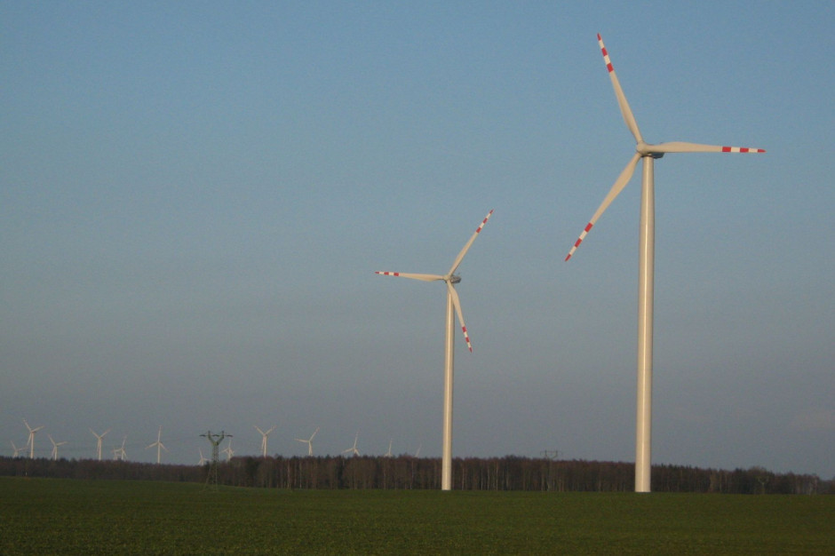 Istnieją plany wykonania farmy wiatrowej na Bałtyku. Fot. Wikipedia