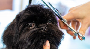 Węgierska Górka ma nowego fryzjera dla zwierząt